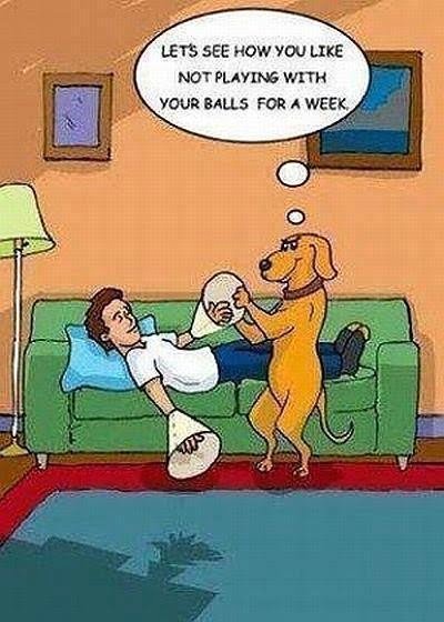Karikatúra „pozrime sa, ako sa vám páči, že sa týždeň nehráte so svojimi loptičkami“
