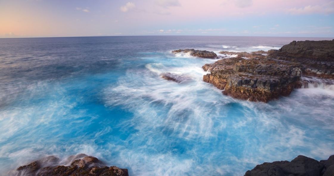 Jessenia Vice porno video