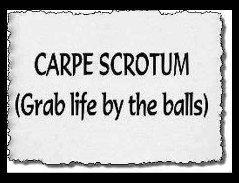 carpe scrotum (grab life by the balls)