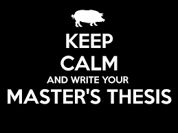 keep calm and write your master's thesis