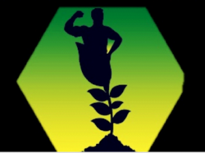 Gary Wilson: Your Brain on Porn (Podcast) - Your Brain On Porn