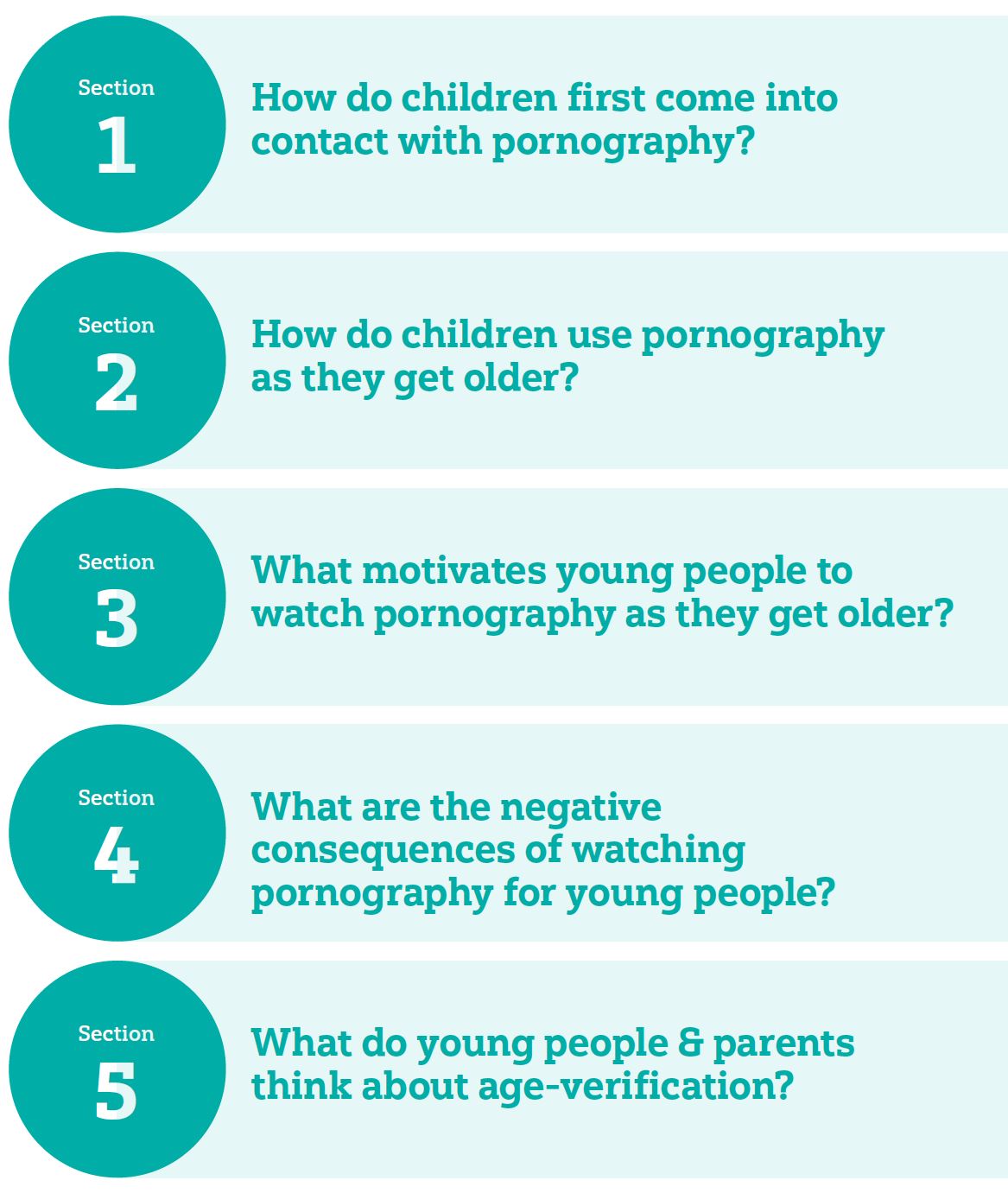 Young people, Pornography & Age-verification: British Board of Film Classification (January